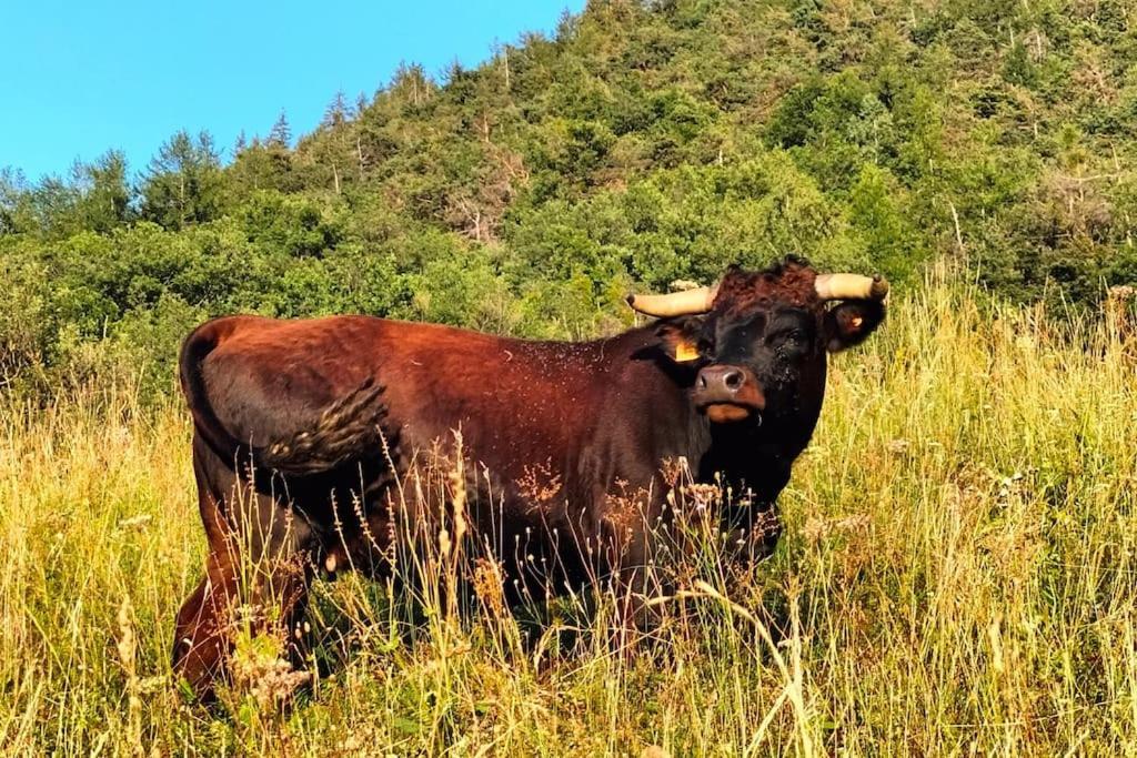 Appartamento Di Montagna Lo Grop Chambave Екстериор снимка